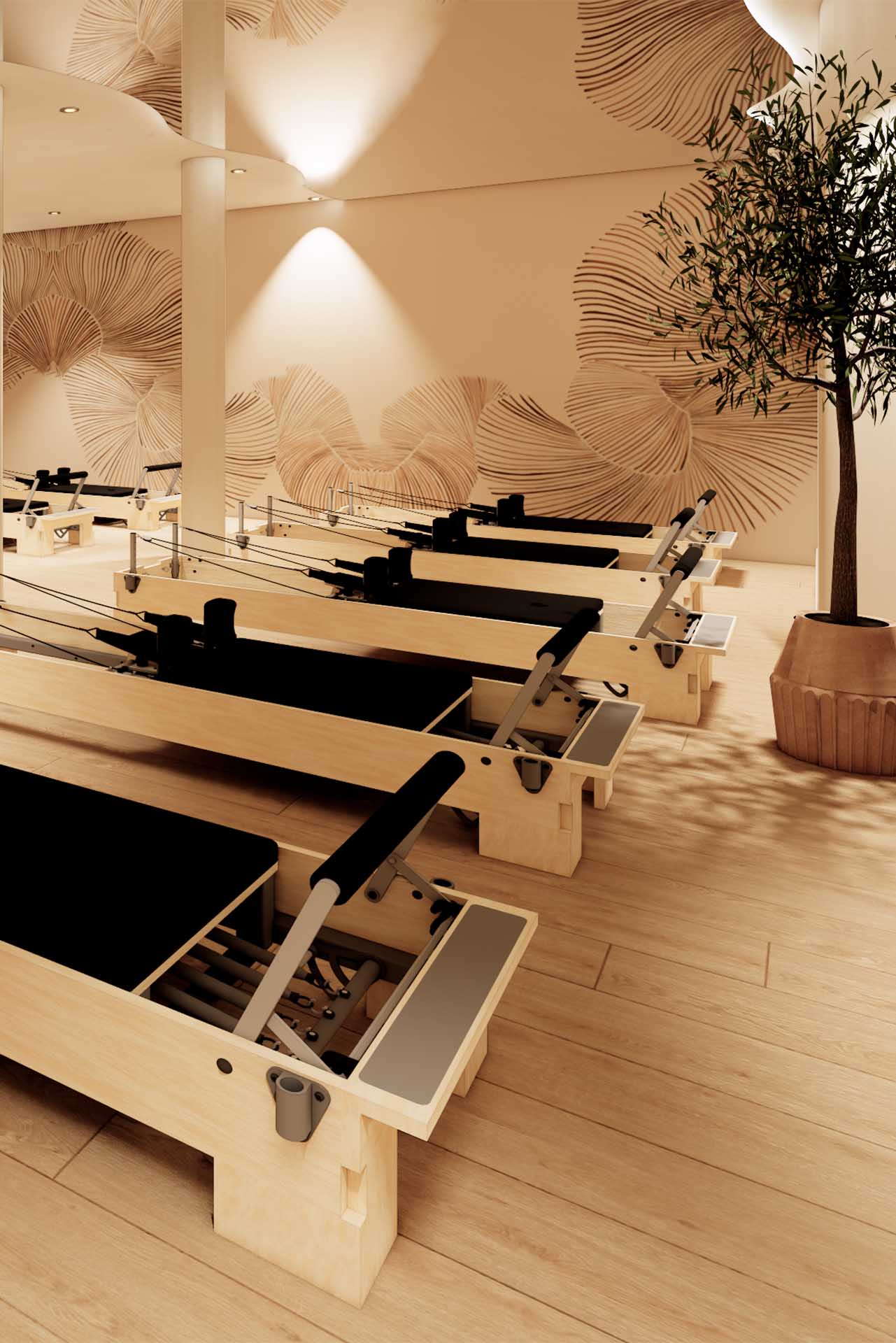 Reformer pilates studio